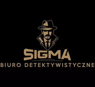 Prywatny Detektyw, Profesjonalne Usługi Detektywistyczne Kraków Katowice