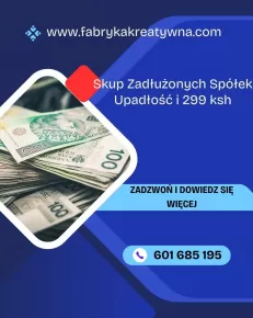 Skup Spółek w Upadłości i Zadłużonych Ochrona 299 Ksh